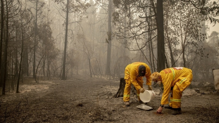 Kalifornija, požari