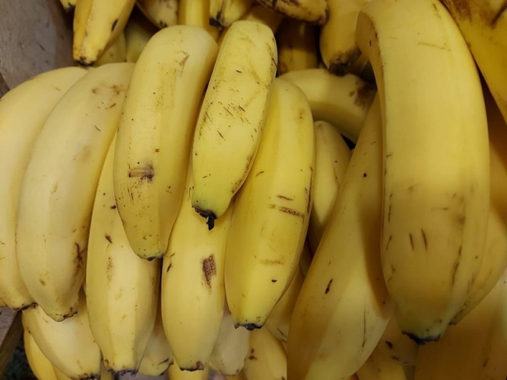 banana za pritisak