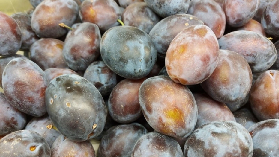 Voće, šljiva, šljive