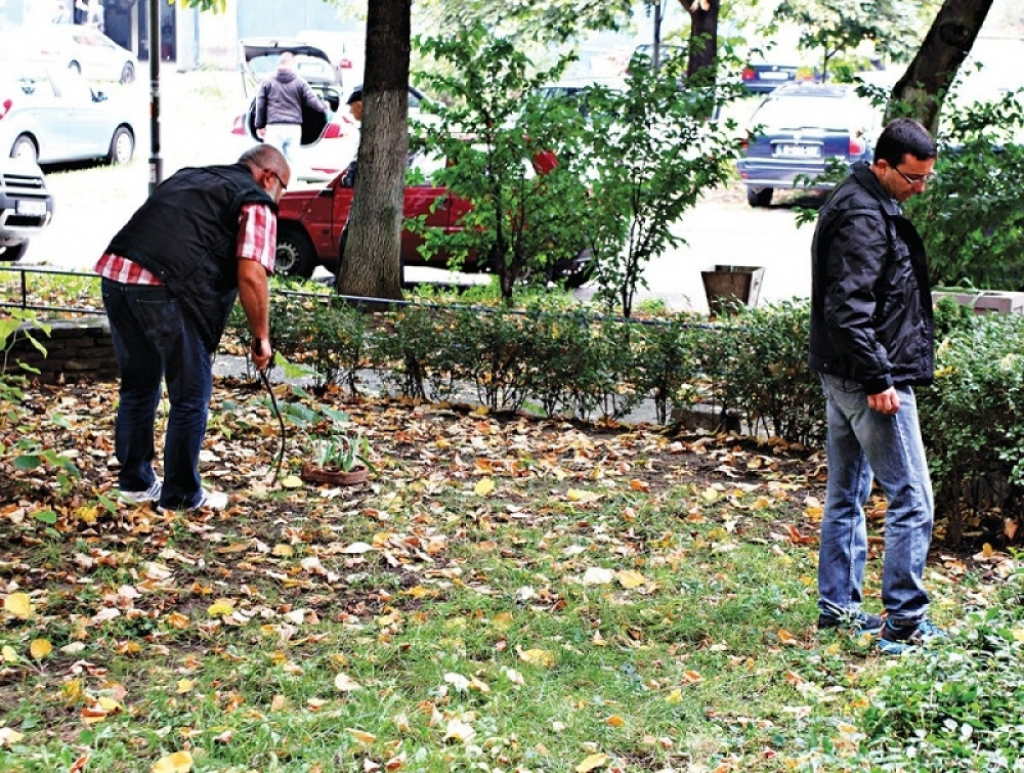 Ubistvo Paje Stojanovića