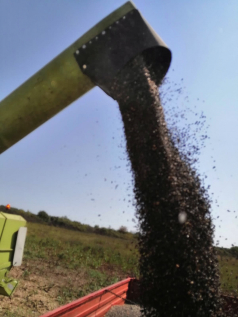 Poljoprivreda, kombajn