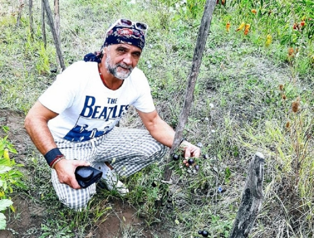 Crni i žuti paradajz