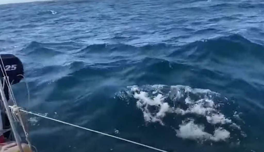 kitovi