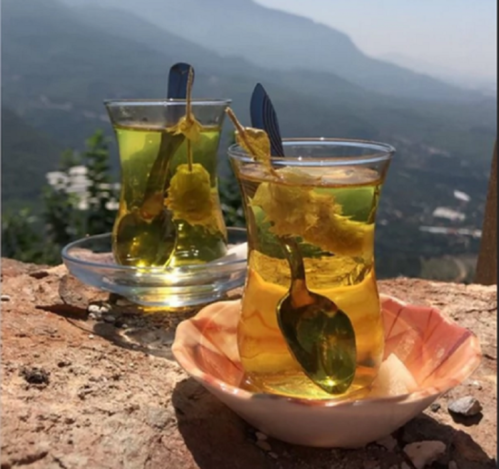 Šolja čaja, Sonja Suarez Gomez