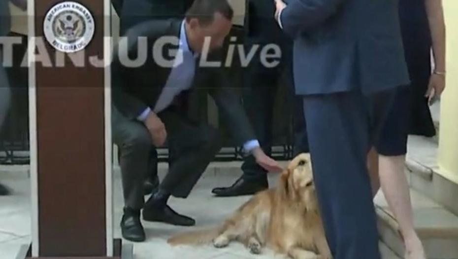 Ričard Grenel, pas Entonija Godfrija