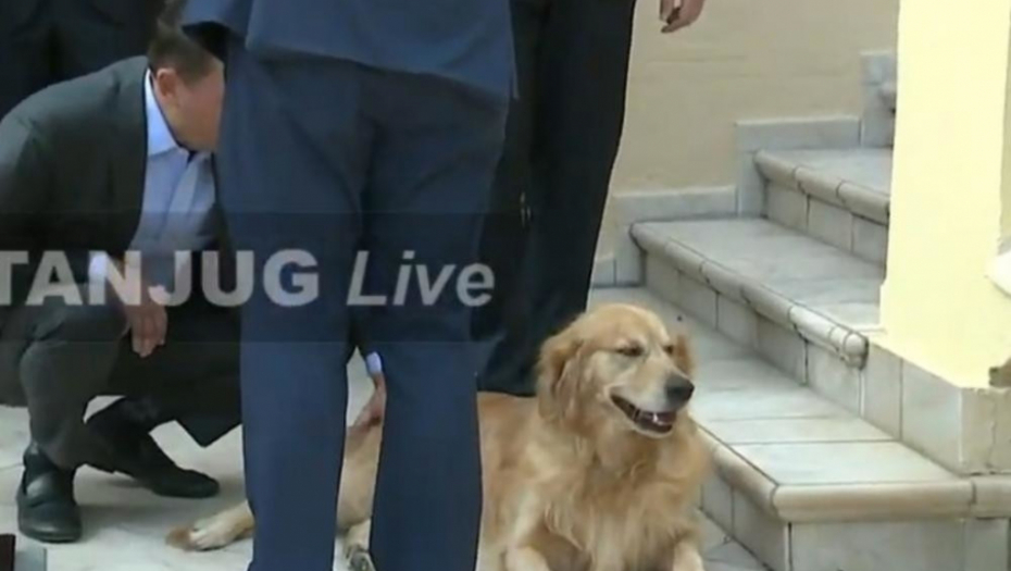 Ričard Grenel, pas Entonija Godfrija