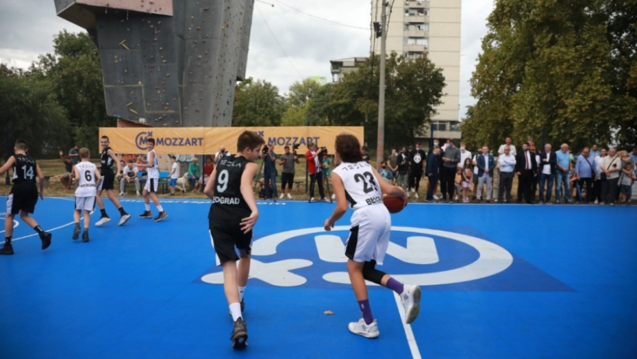 Novica Veličković teren