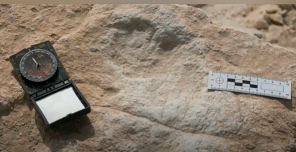 arheološko iskopavanje