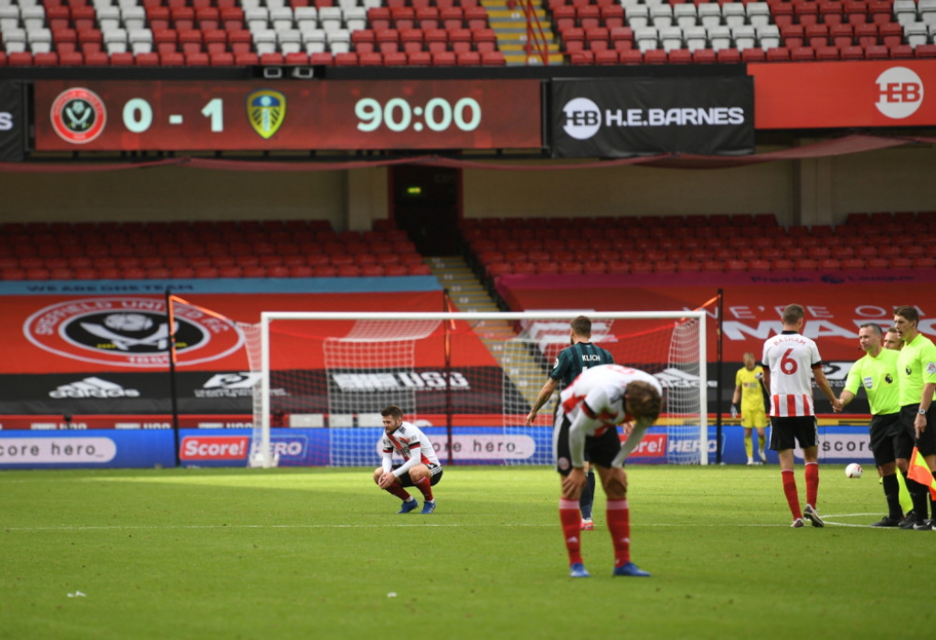 &Scaron;efild junajted