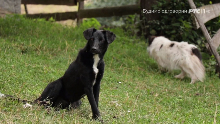 Milorad Jeftić Mido