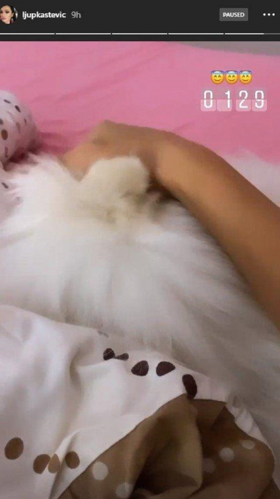 Ljupka Stevića sa psom