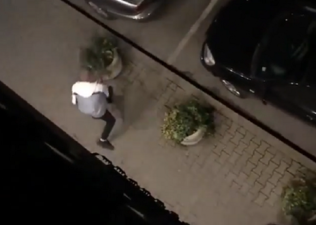 Vandali u Novom Sadu