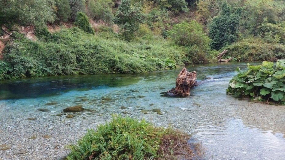 Plavo oko, Albanija