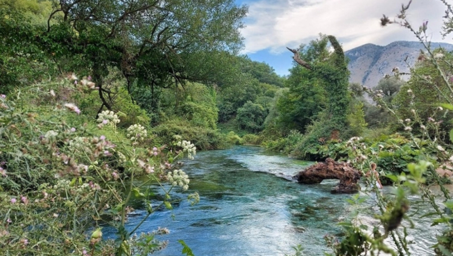 Plavo oko, Albanija