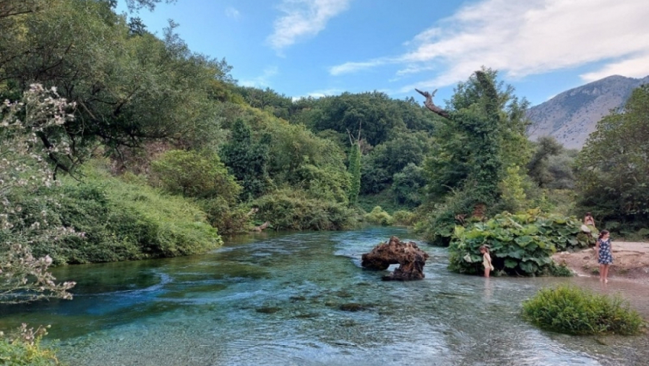Plavo oko, Albanija
