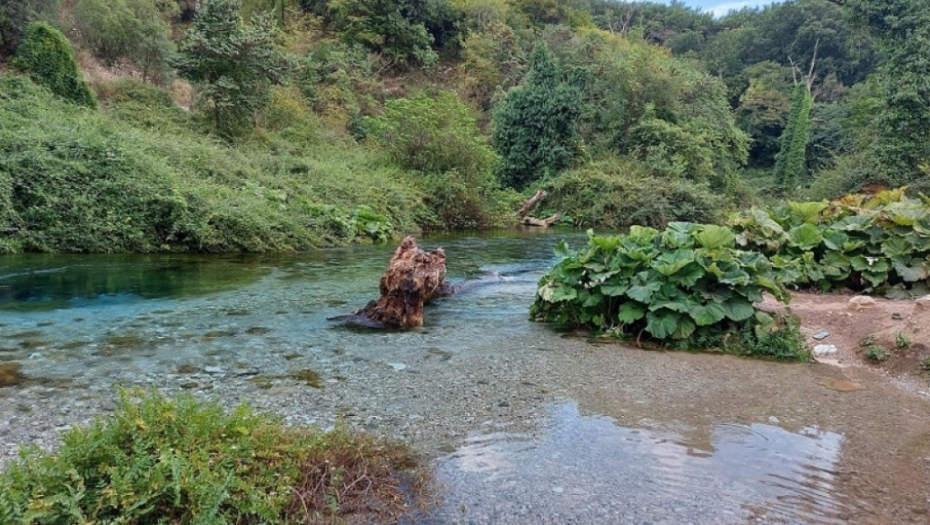 Plavo oko, Albanija