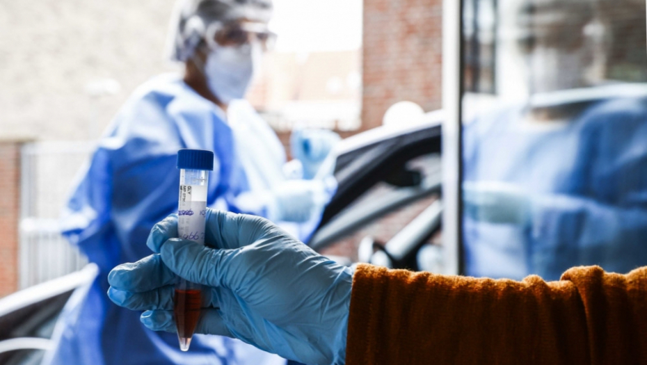 Korona virus, Holandija