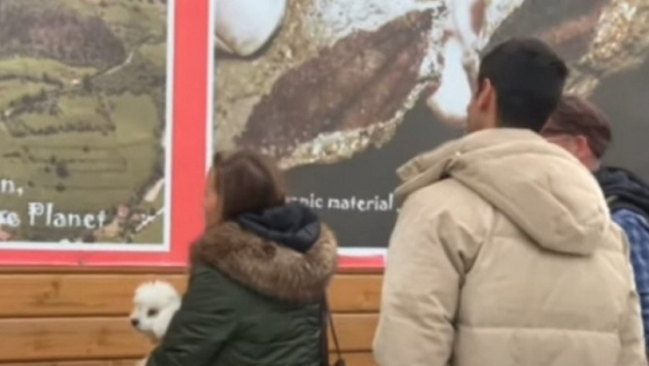 Novak i Jelena Đoković