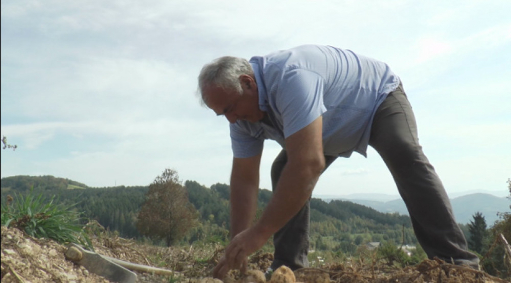 Dobrivoje Krsmanović iz Katića