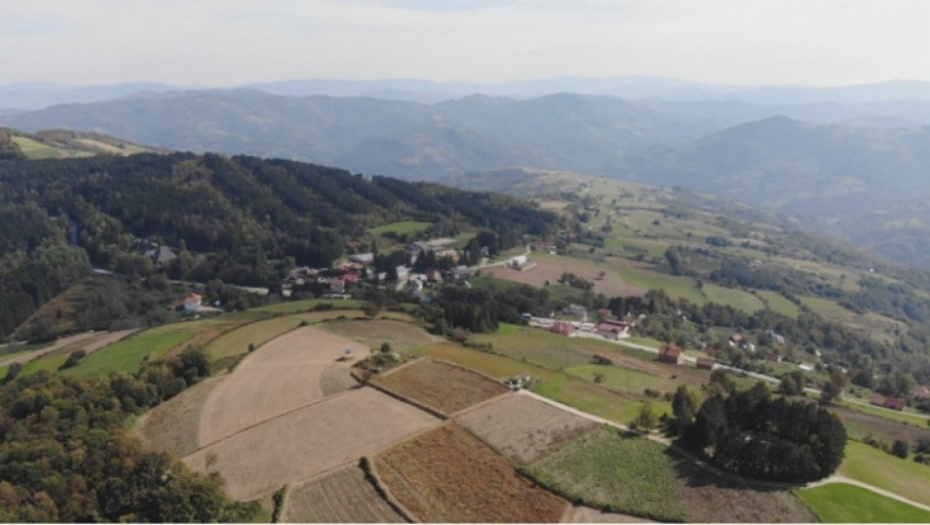 Dobrivoje Krsmanović iz Katića