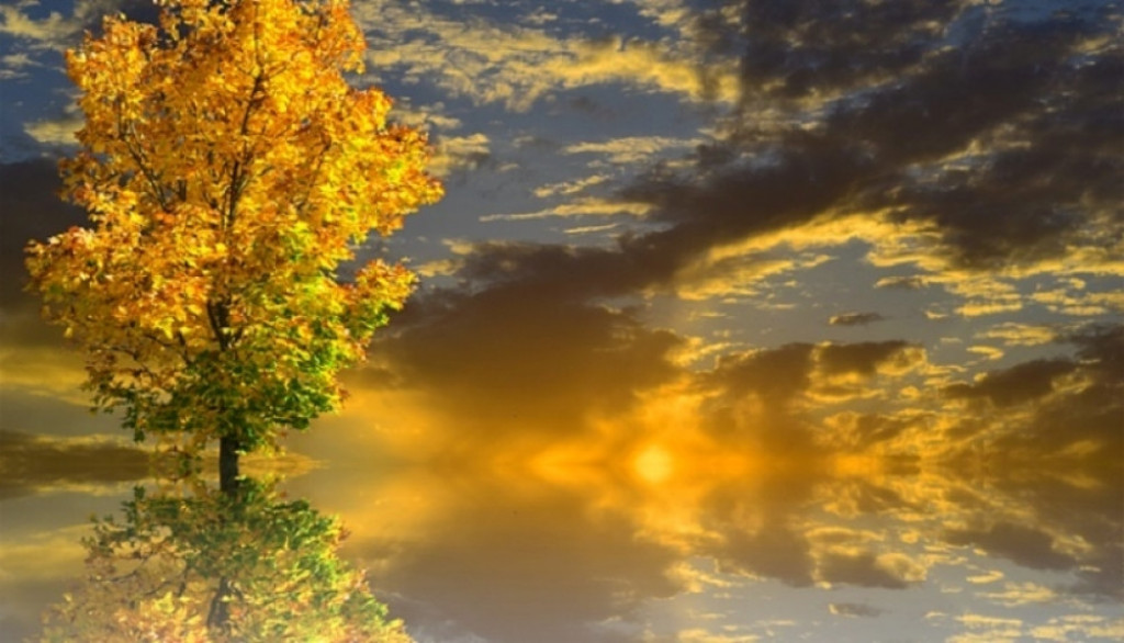 horoskop, sreća, tuga, devojka, par