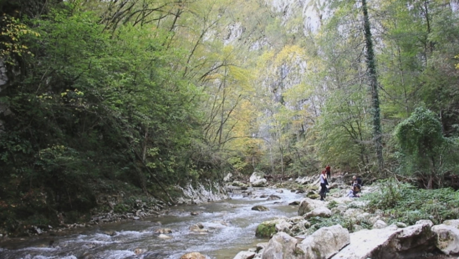 Netaknuta priroda u blizini Arilja