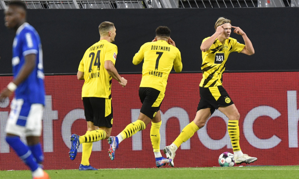 Erling Braut Haland (Borusija Dortmund)