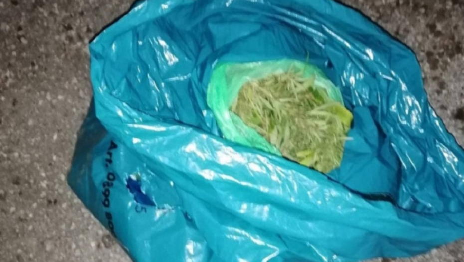 Zaplenjena marihuana