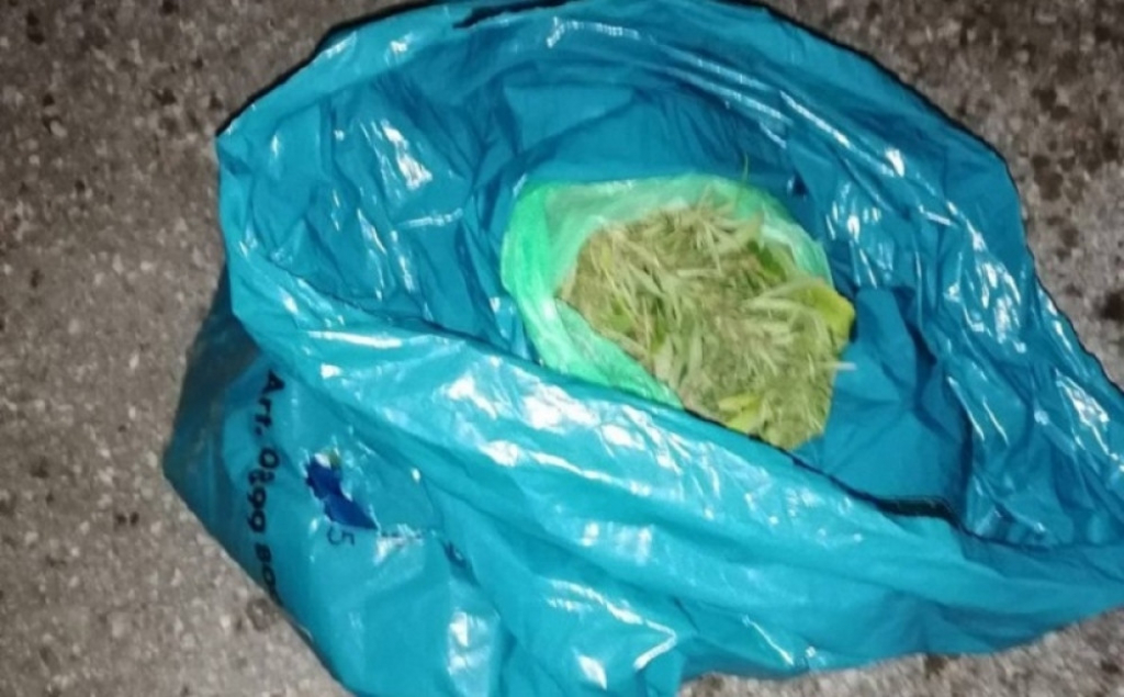 Zaplenjena marihuana