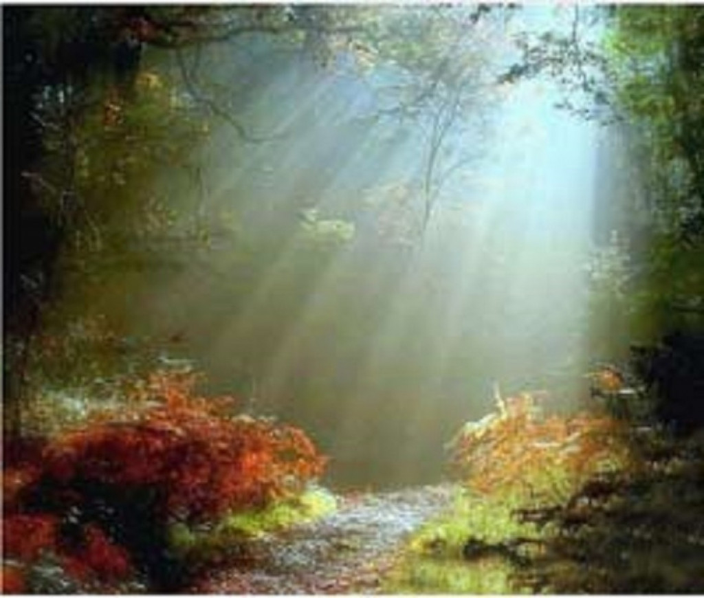 novembar, glumci, horoskop, devojka, frajer, momak