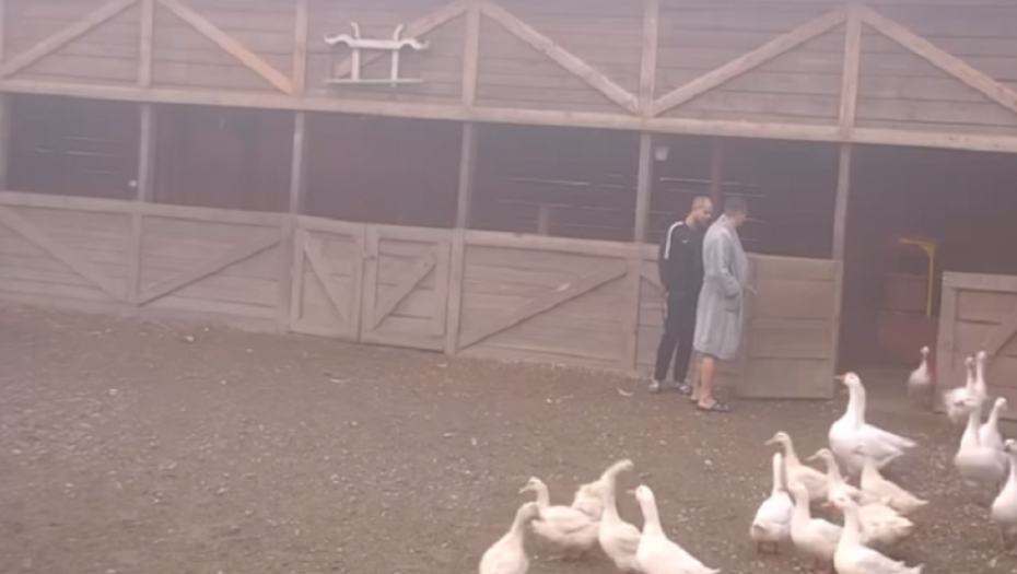 kristijan golubović