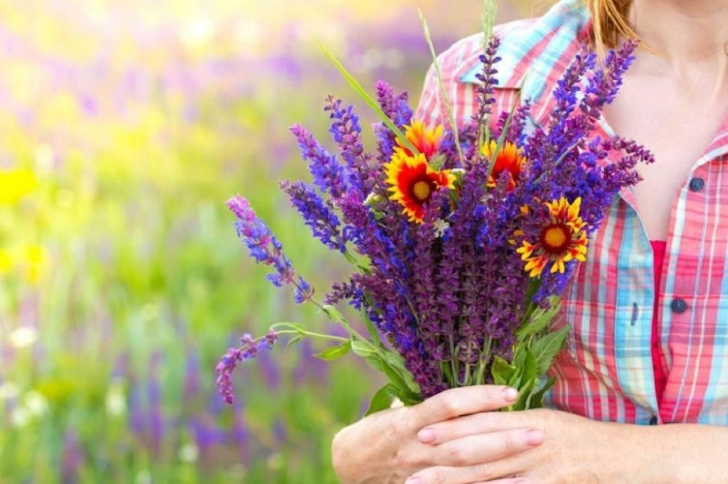 sirup, žalfija, napitak
