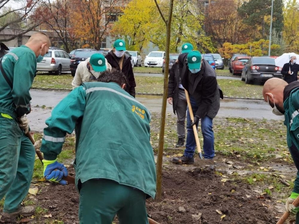 Milo&scaron; Vučević