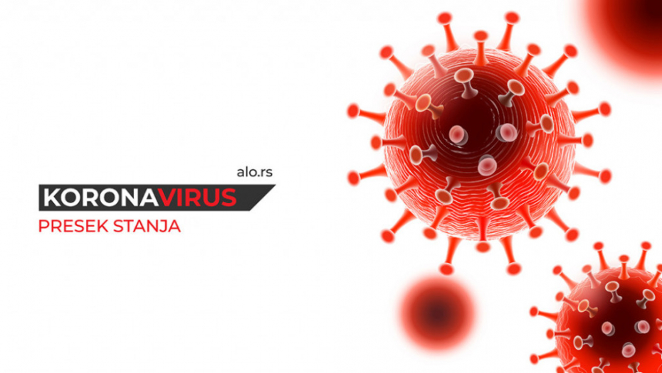 korona virus covid 19