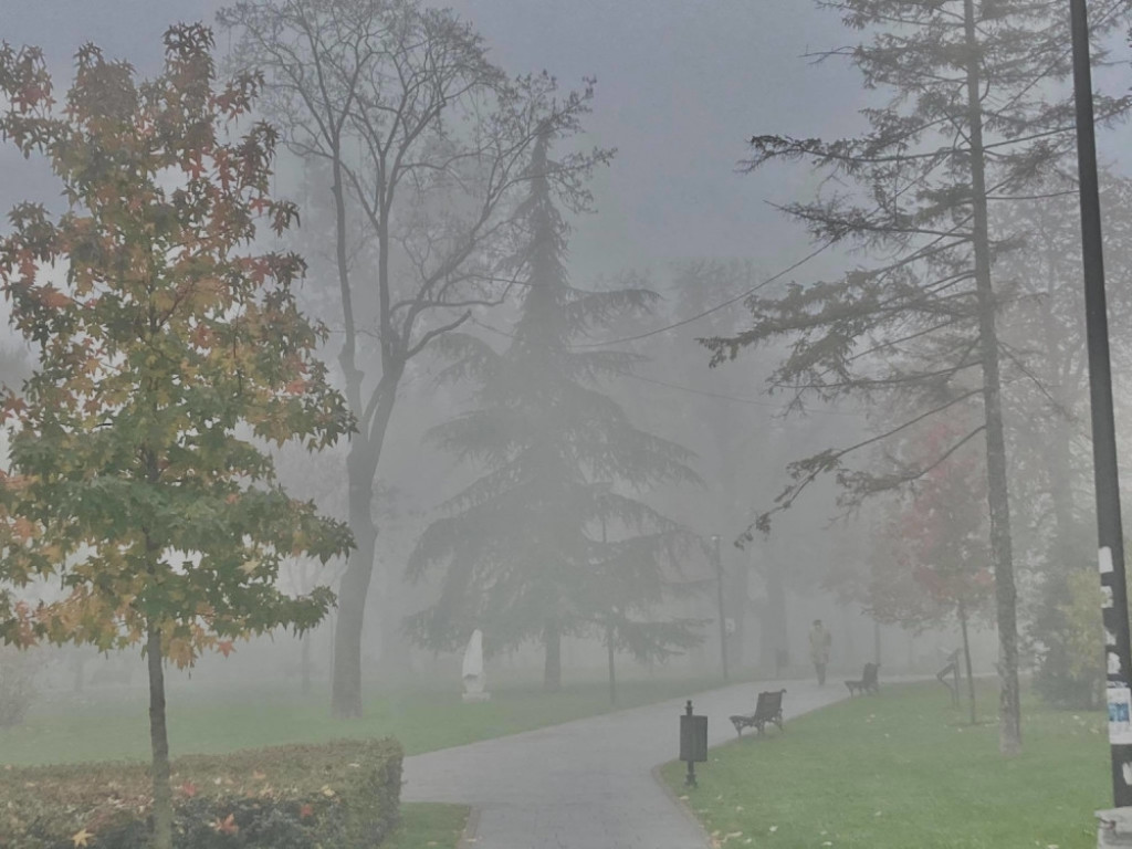 Magla, zima, vremenska prognoza