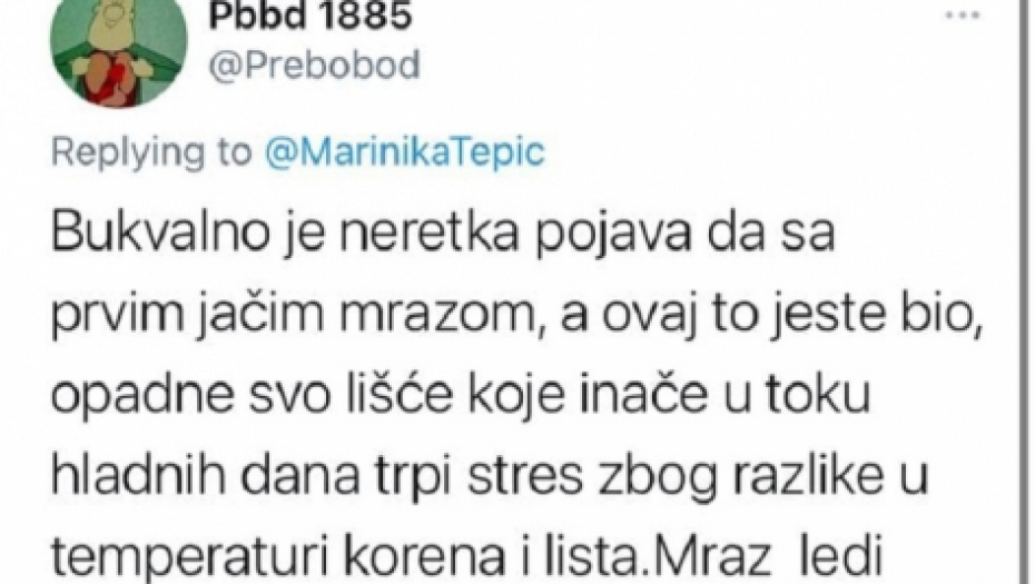 Marinika Tepić