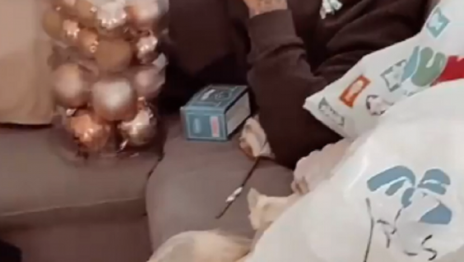 Teodora Džehverović