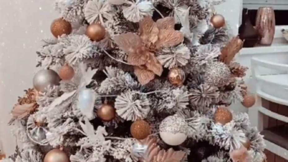 Teodora Džehverović