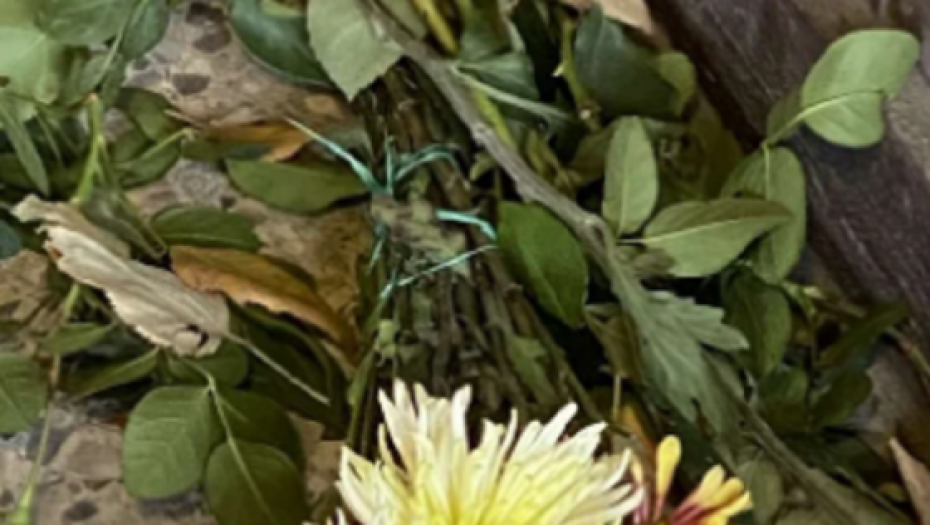 Džej Ramadanovski ulaz u zgradu