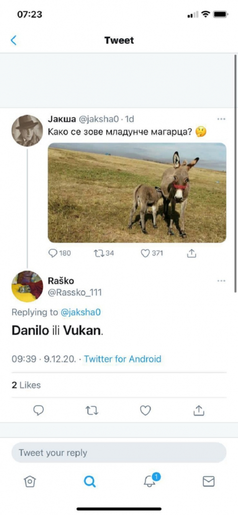 Vređanje predsednikove dece