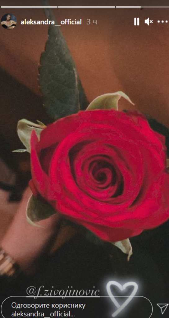 Aleksandra Prijović