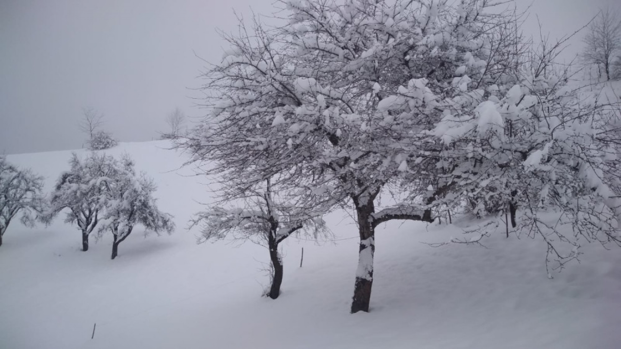 Zavejana sela Nova Varo&scaron;