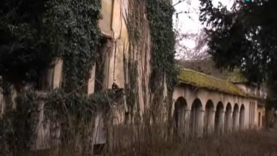 istorija, dvorac, arandjelovac, beočin