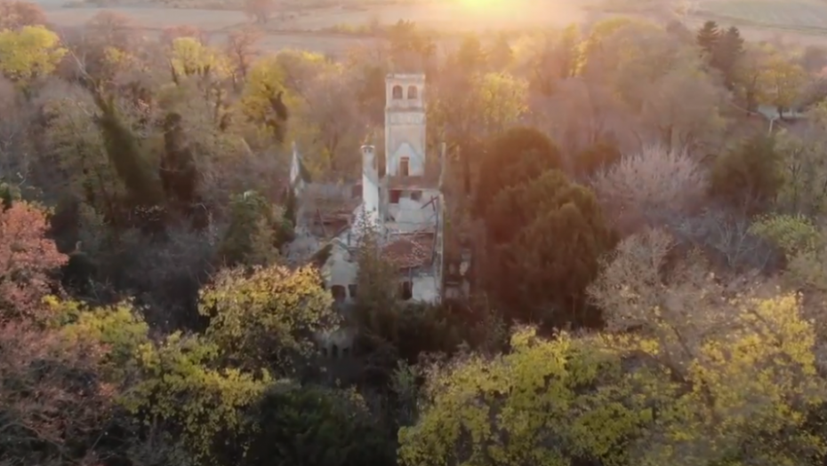 istorija, dvorac, arandjelovac, beočin