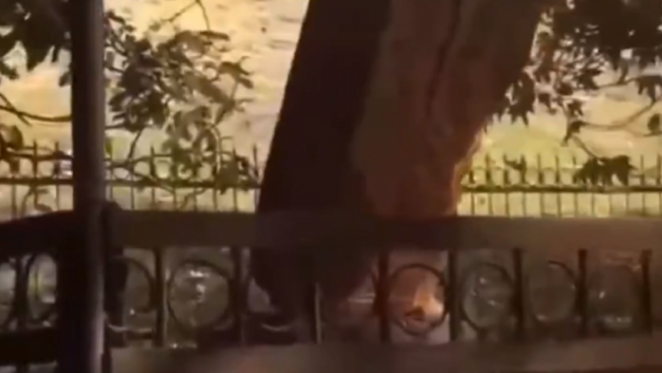 Nagorno-Karabah, Azerbejdžan, krst