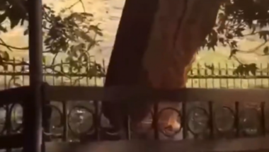 Nagorno-Karabah, Azerbejdžan, krst