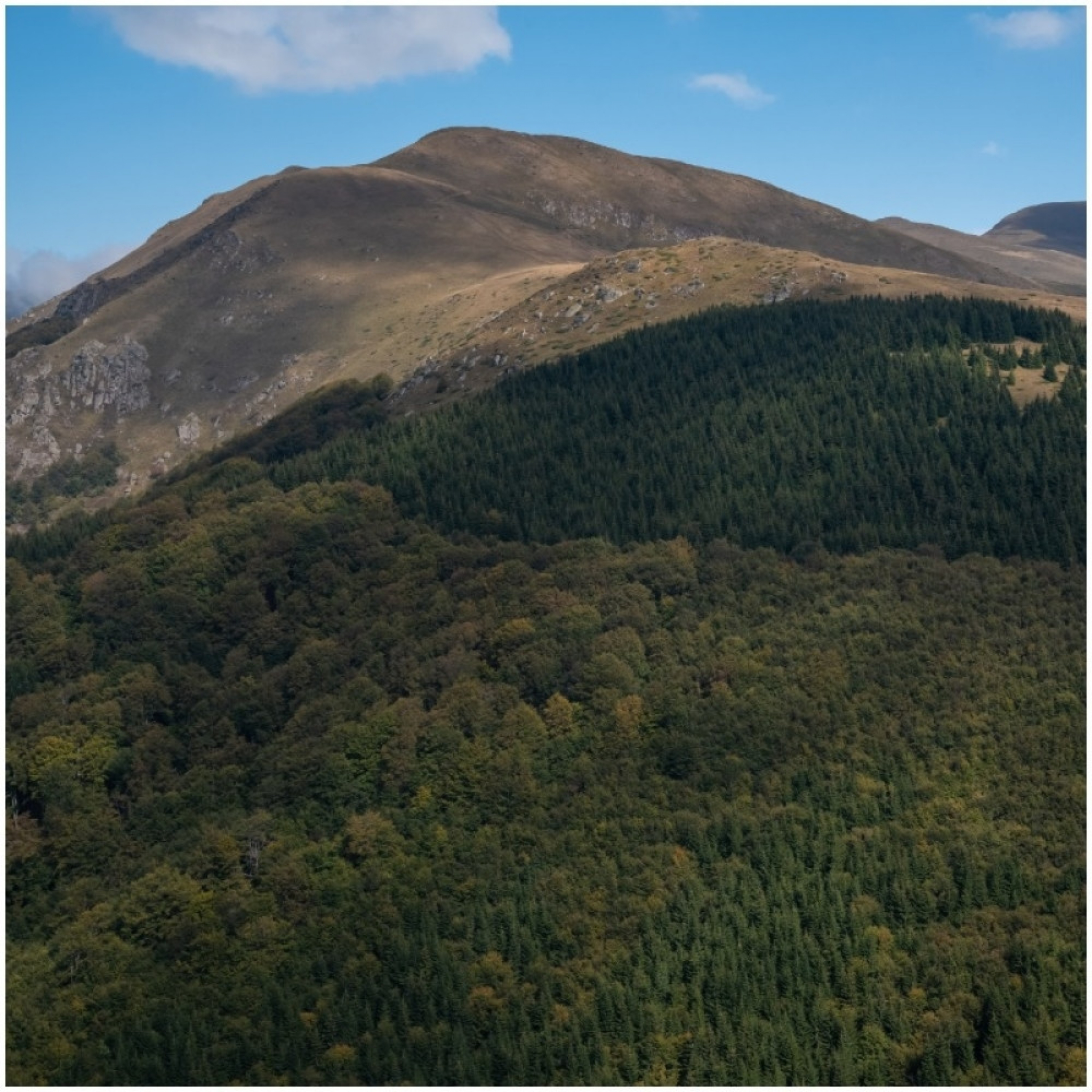 planina, midzor, srbija
