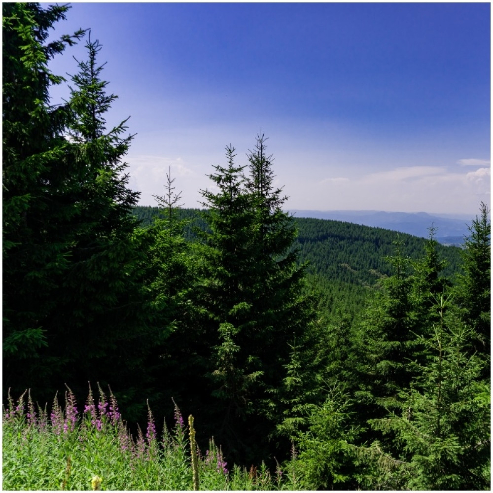 planina, dukat, srbija