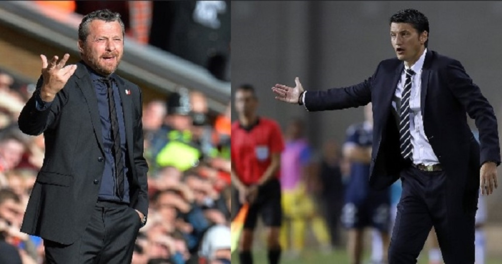 Slaviša Jokanović i Vladimir Ivić