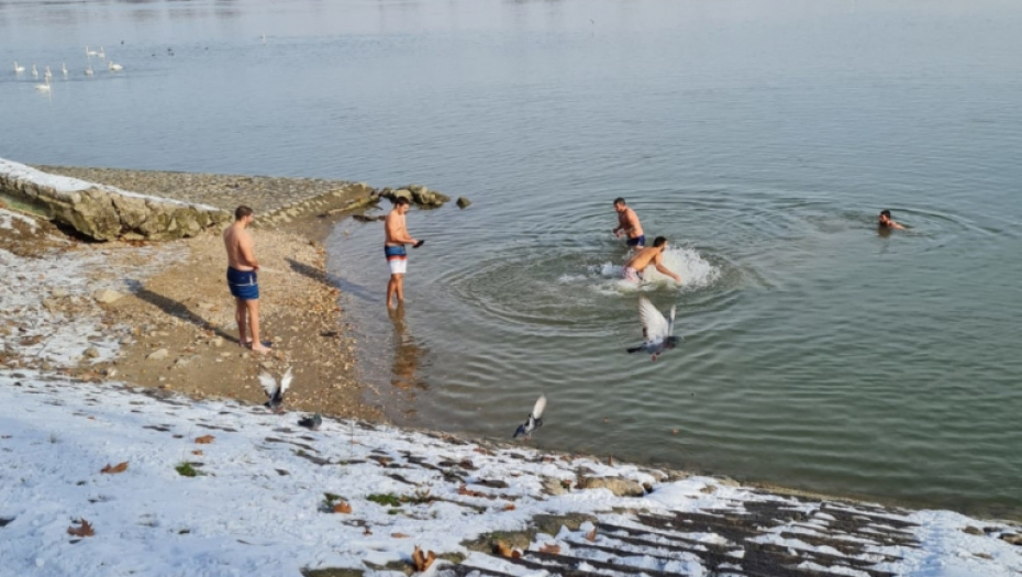 Plivanje za časni krst, Zemun